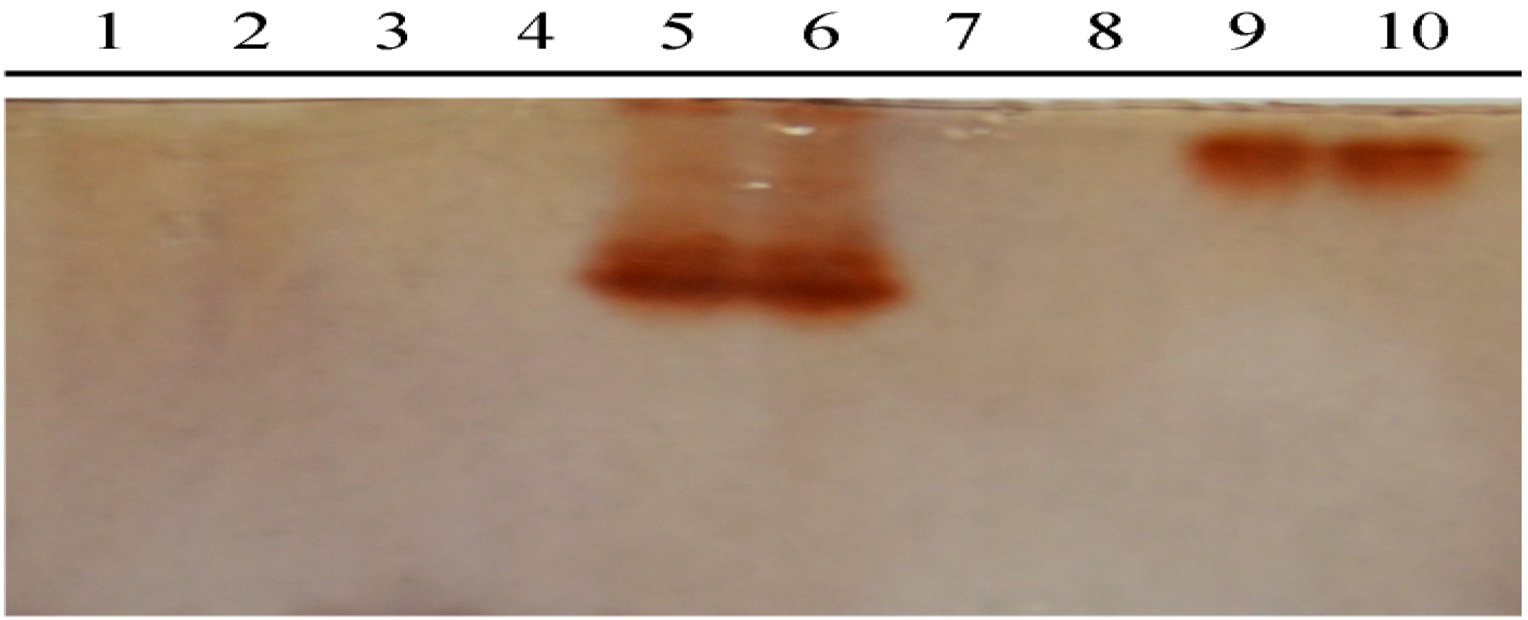 Molecules 19 10208 g004