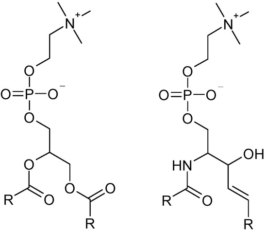 Molecules 19 10230 g002 550