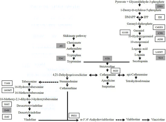 Molecules 19 10242 g005 550