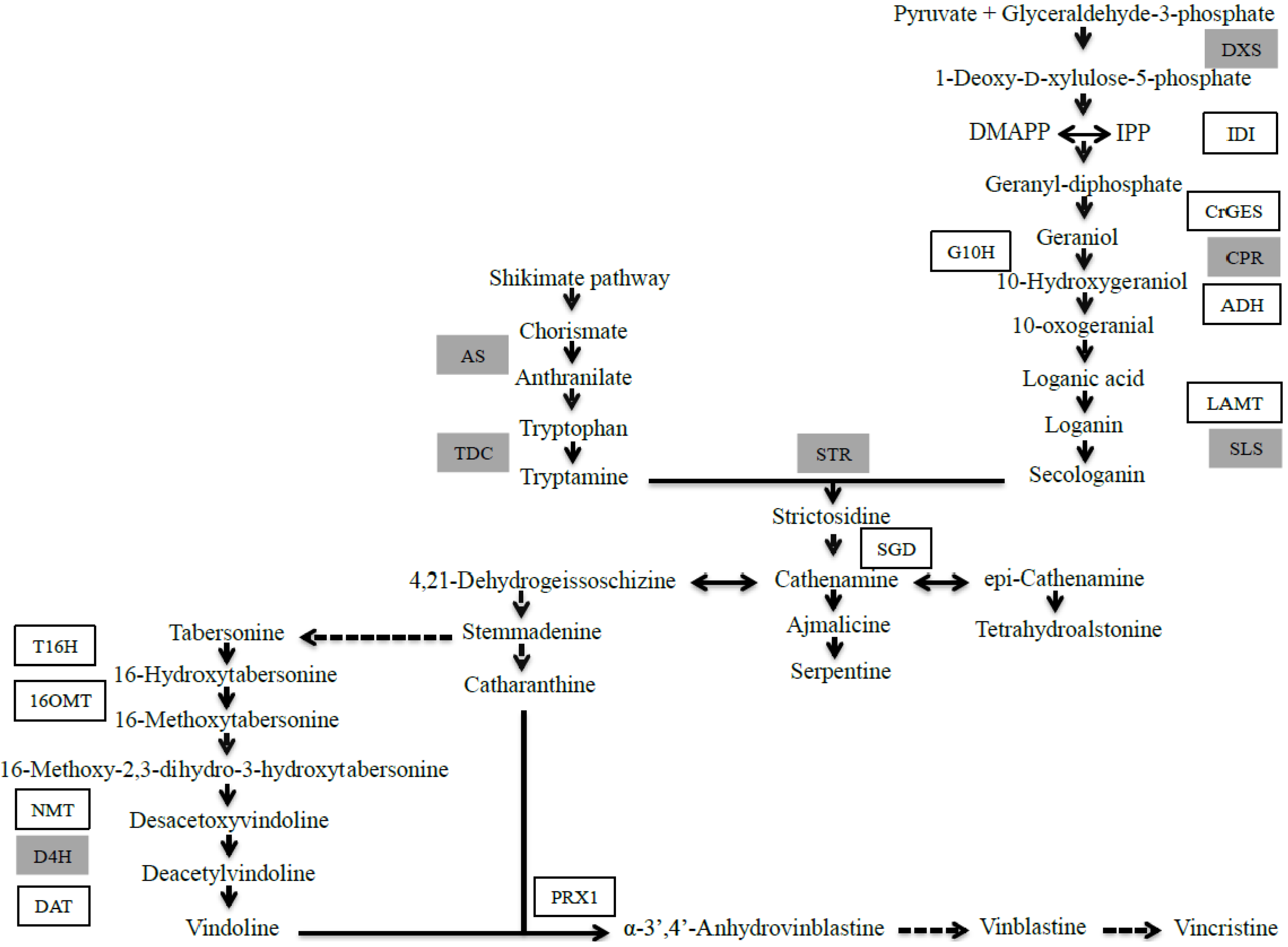 Molecules 19 10242 g005
