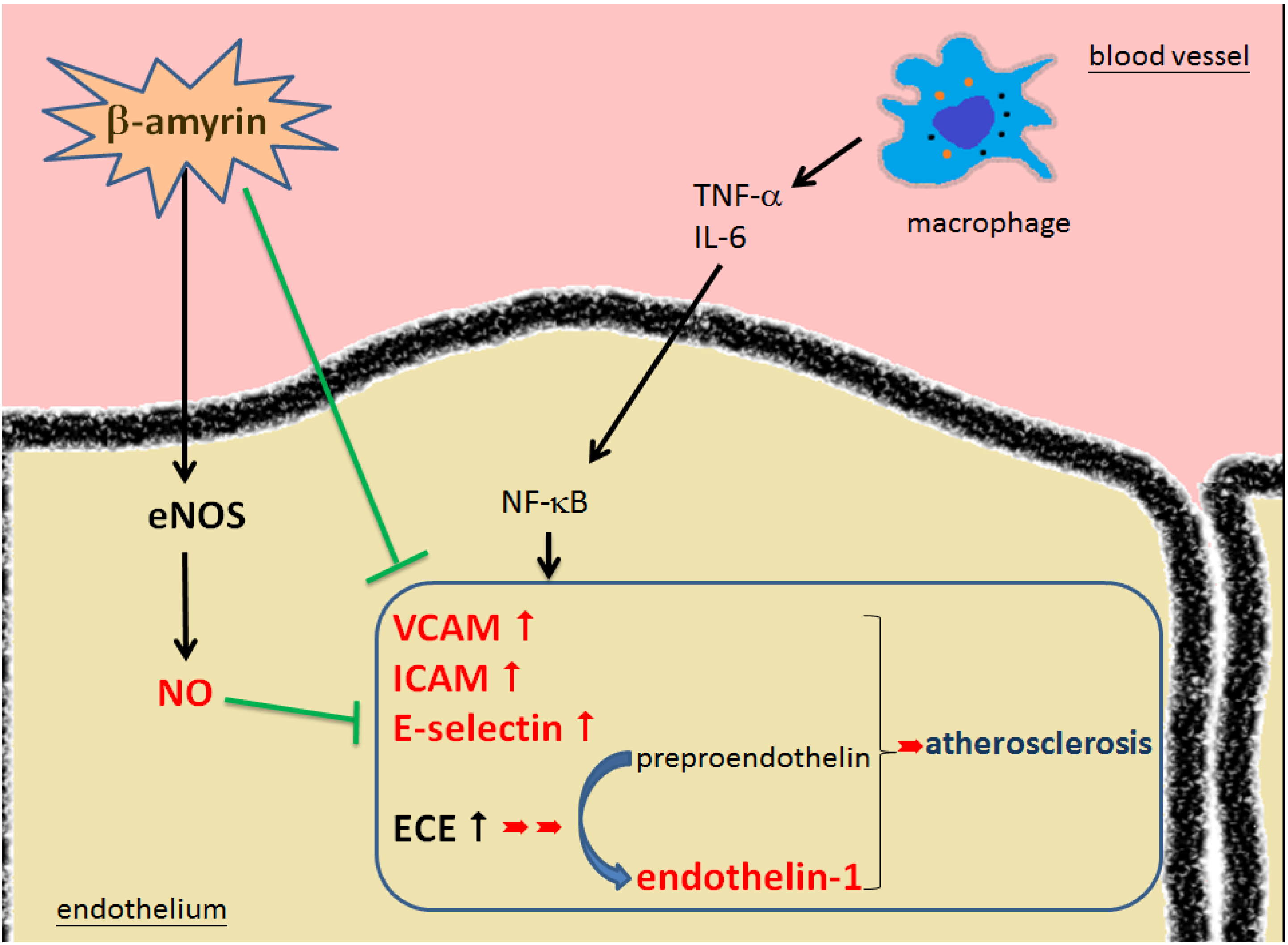 Molecules 19 10534 g007
