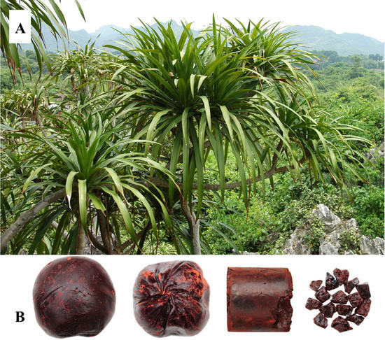 Molecules 19 10650 g001 550