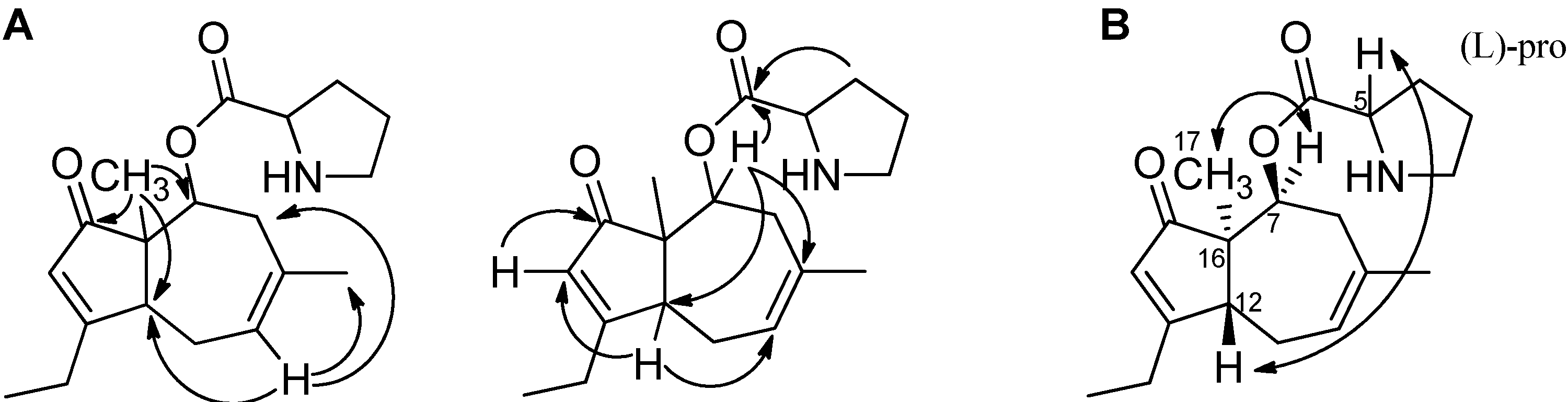 Molecules 19 10898 g005