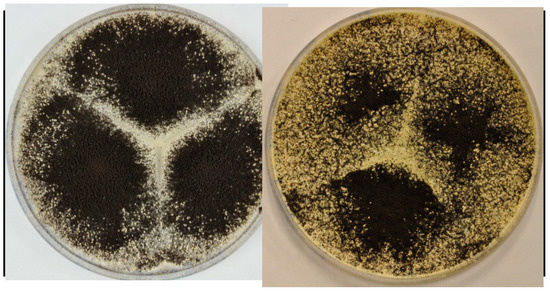 Molecules 19 10898 g009 550