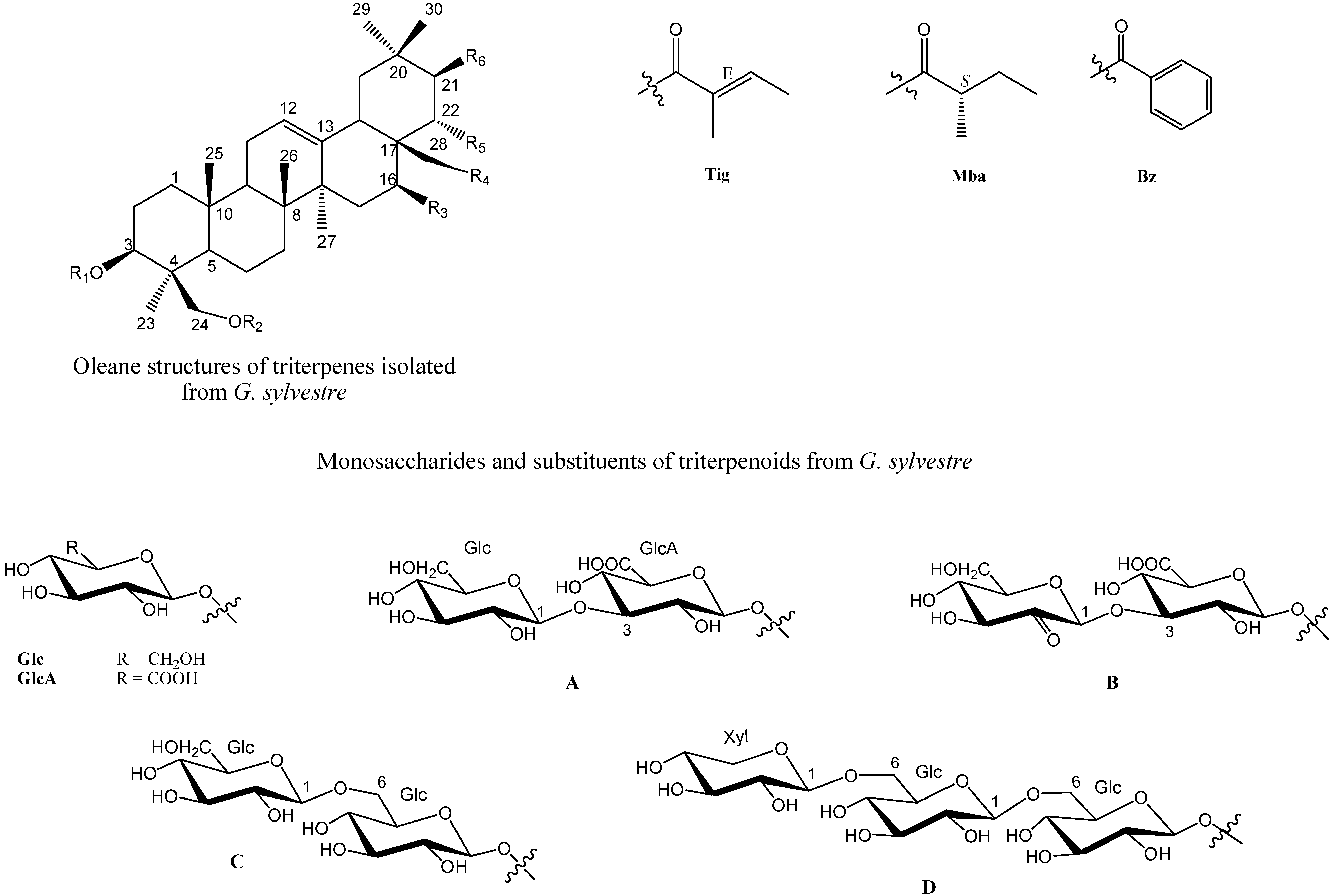 Molecules 19 10956 g001