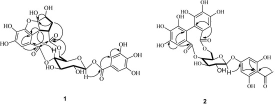 Molecules 19 11045 g002 550