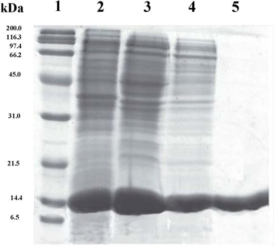 Molecules 19 11231 g001 550