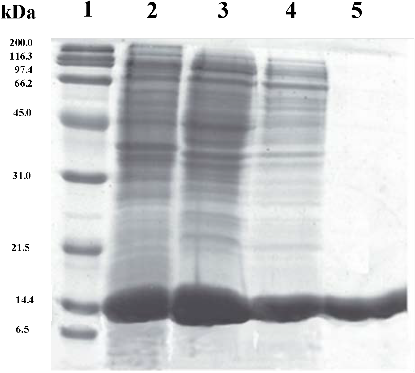 Molecules 19 11231 g001
