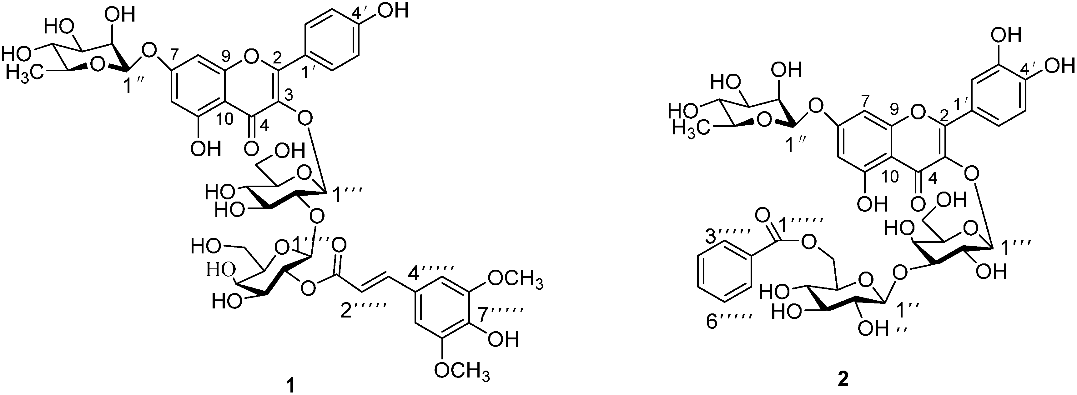 Molecules 19 11341 g001