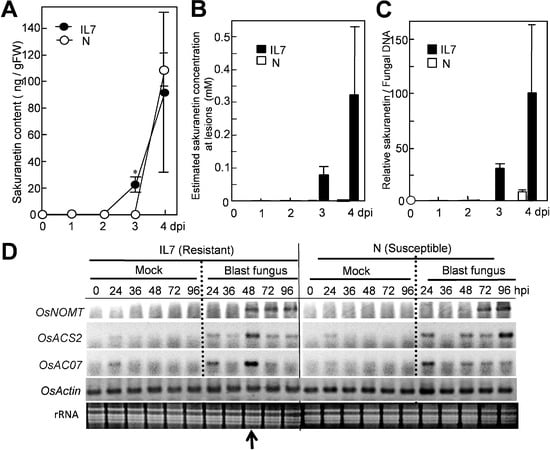 Molecules 19 11404 g001 550