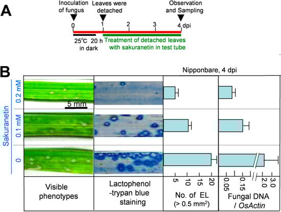 Molecules 19 11404 g003 550