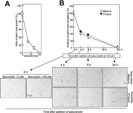 Molecules 19 11404 g005 550