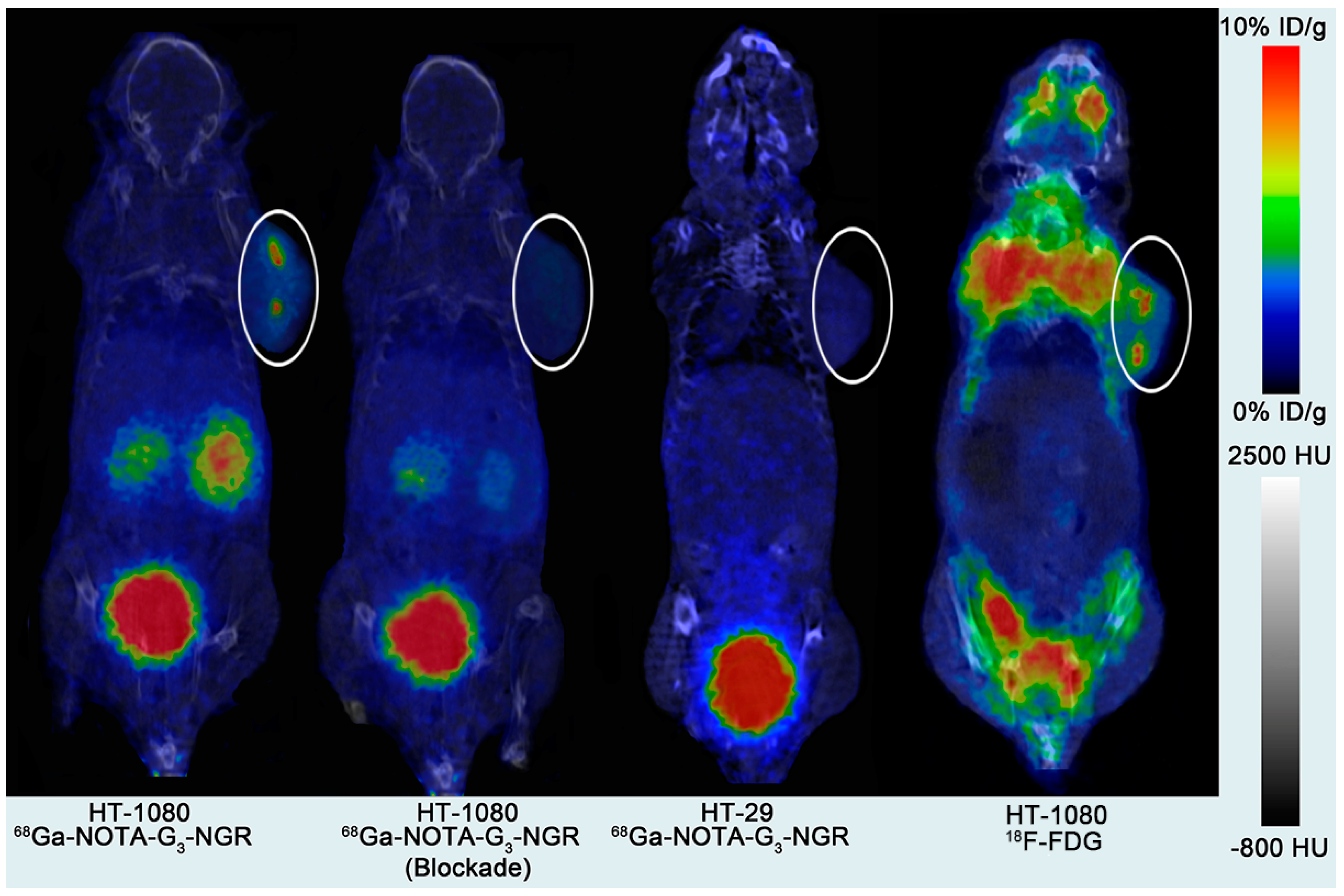 Molecules 19 11600 g002
