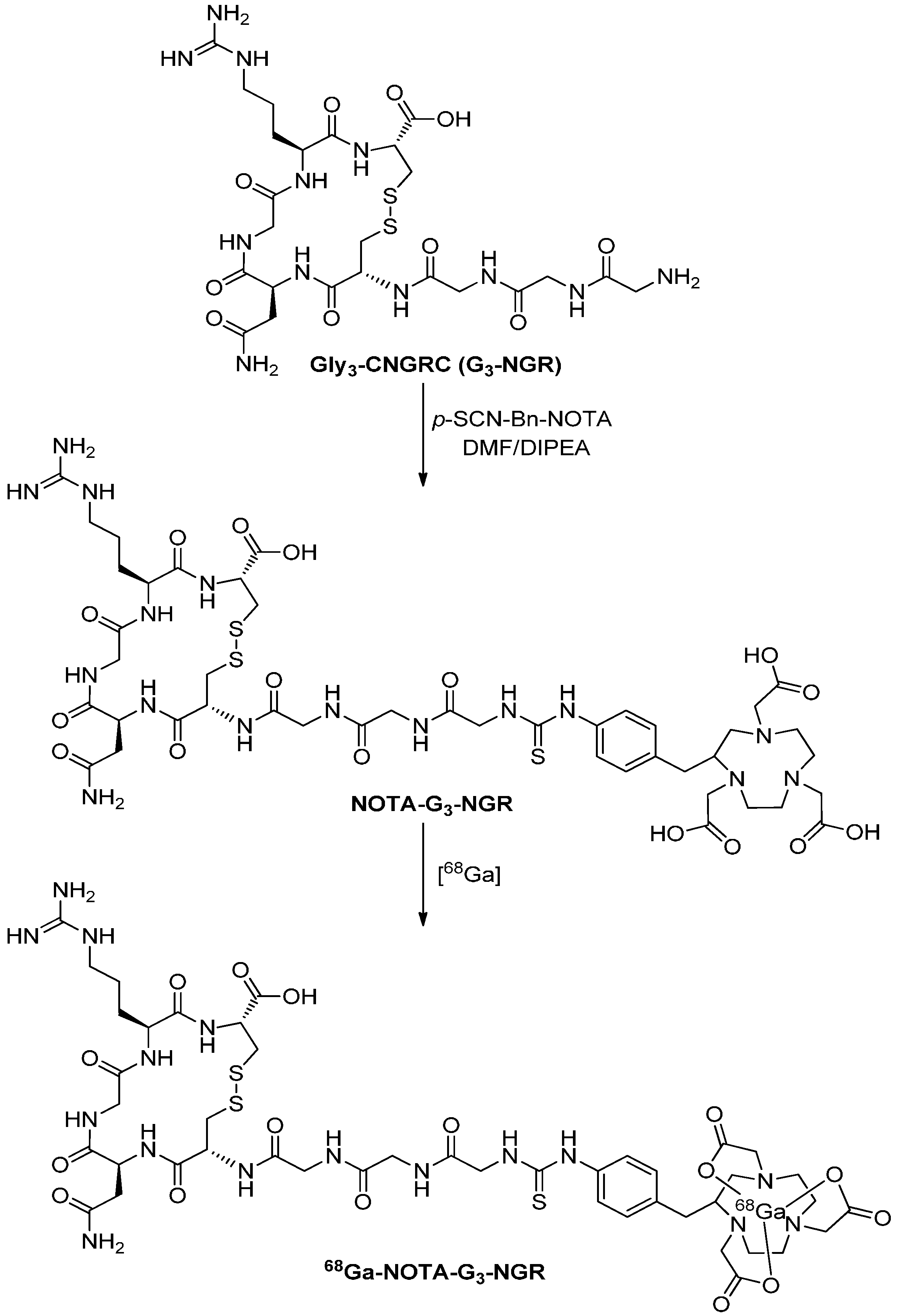 Molecules 19 11600 g006