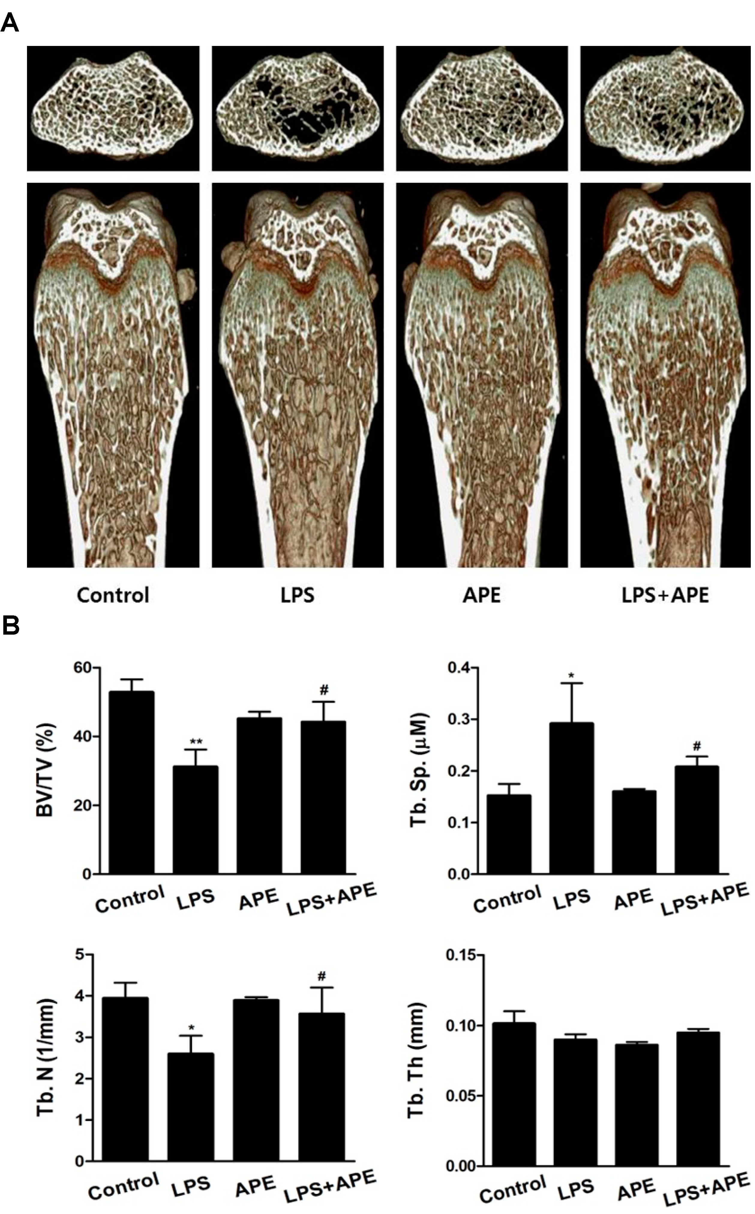 Molecules 19 11628 g001