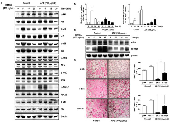 Molecules 19 11628 g004 550
