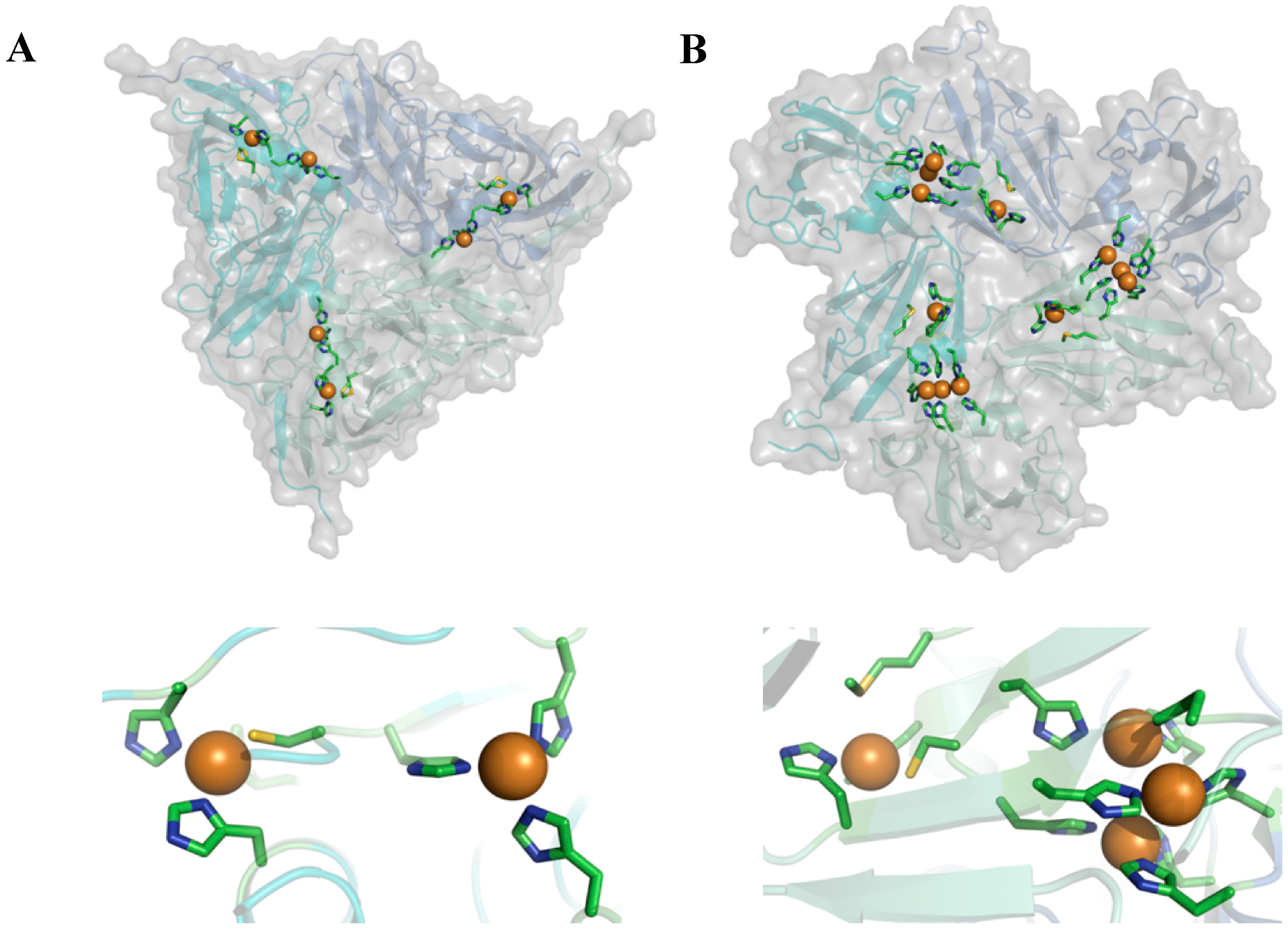 Molecules 19 11660 g002