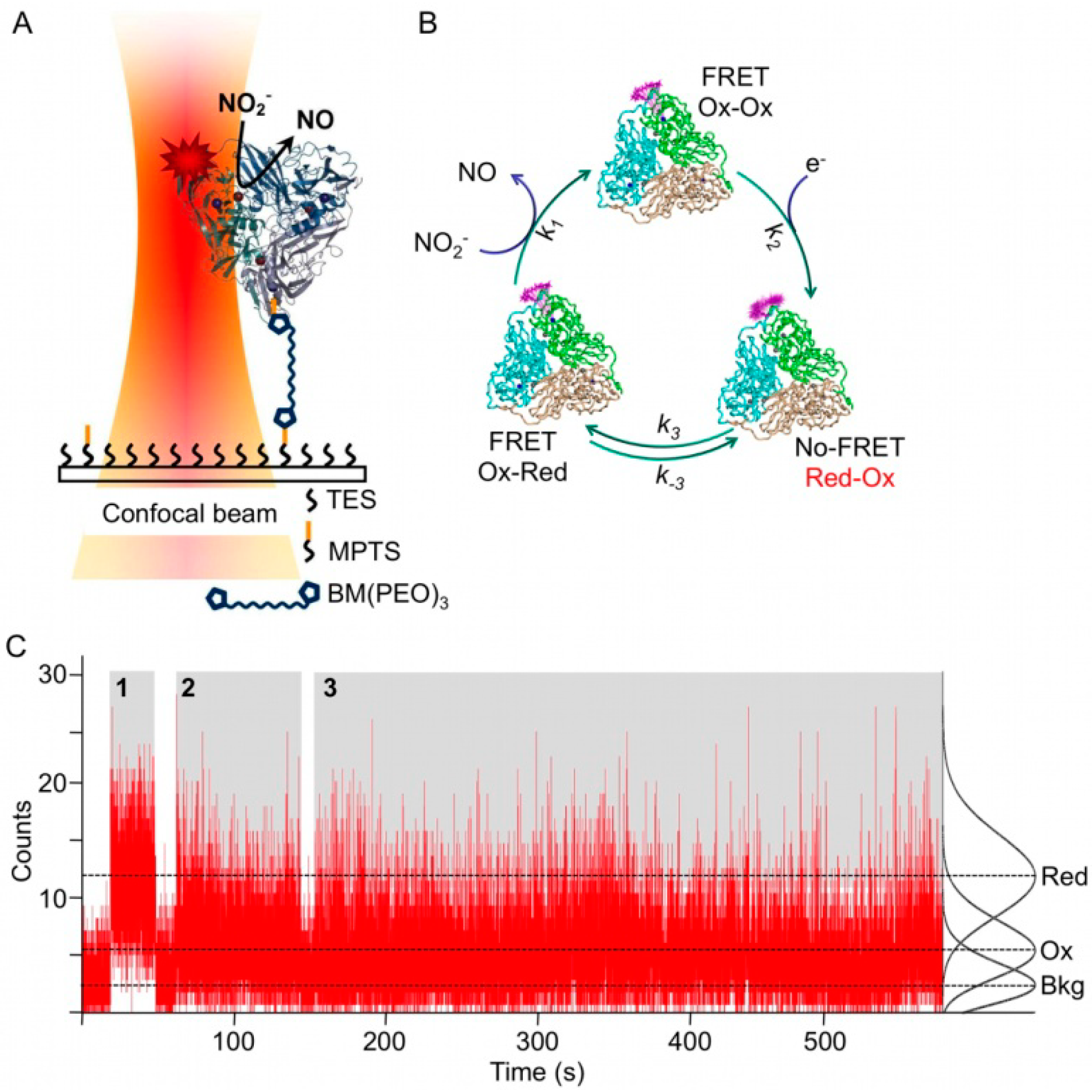 Molecules 19 11660 g003