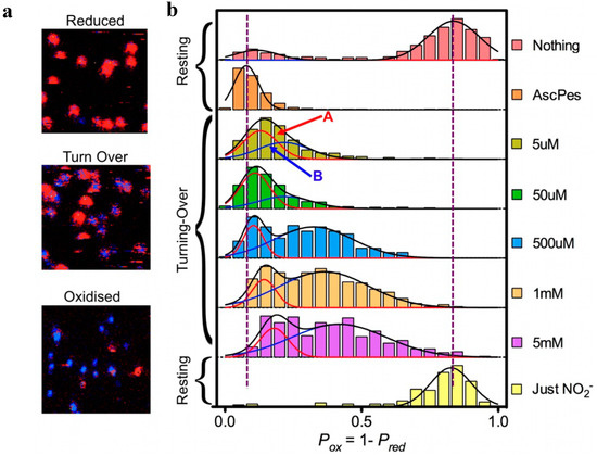 Molecules 19 11660 g005 550