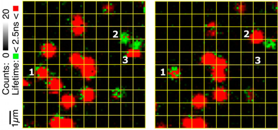 Molecules 19 11660 g006 550