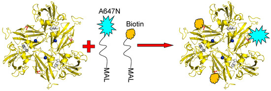 Molecules 19 11660 g008 550