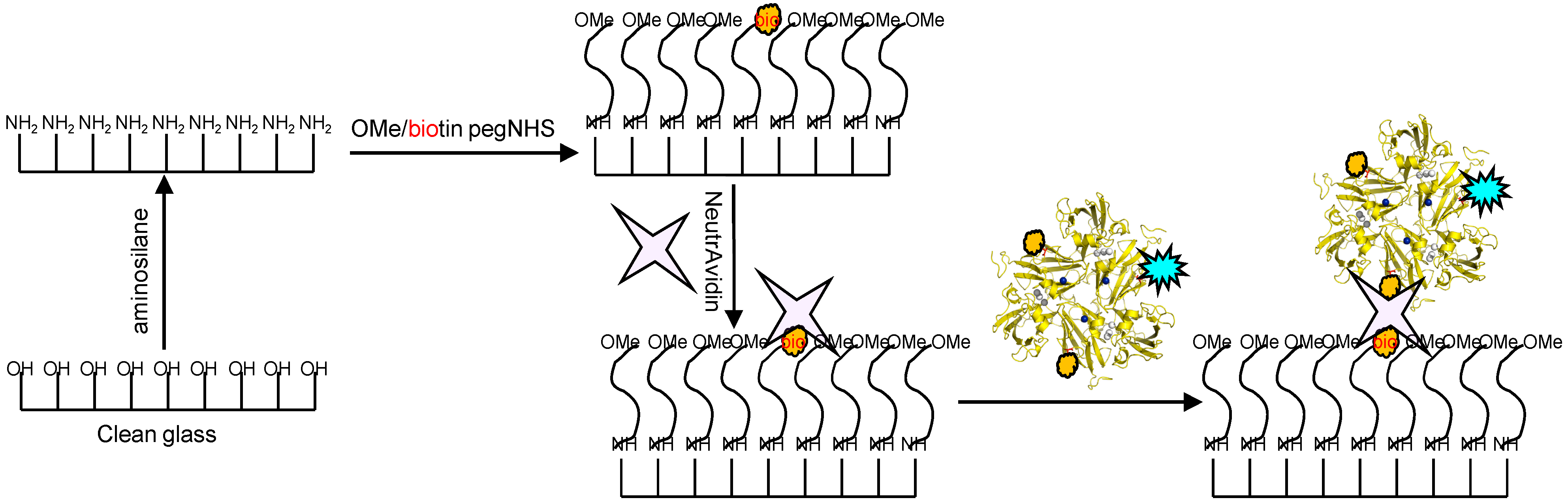 Molecules 19 11660 g009