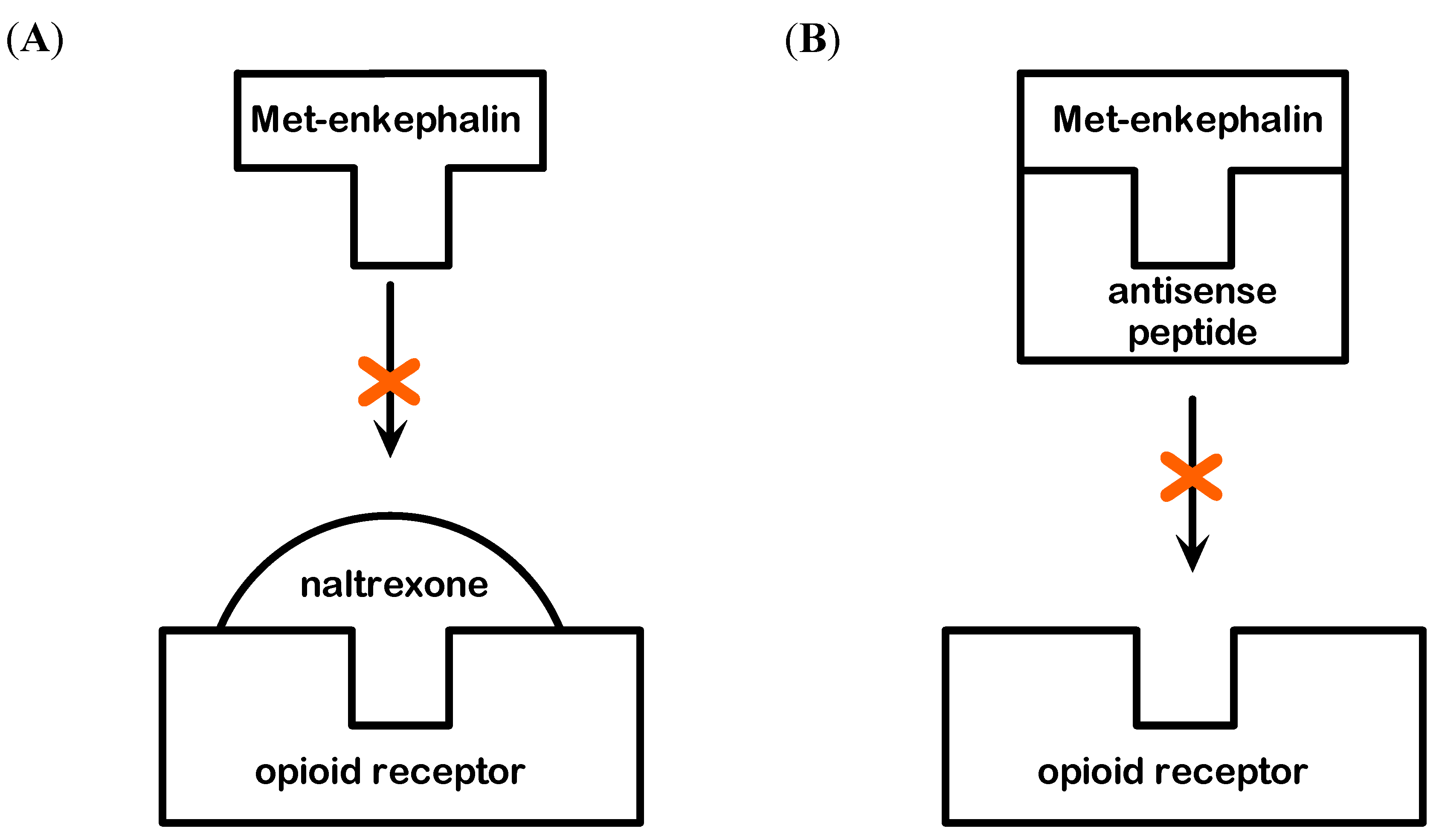 Molecules 19 11833 g005