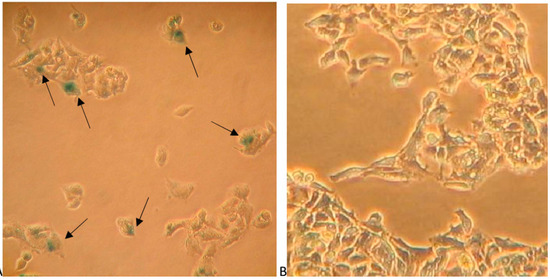 Molecules 19 11846 g007 550