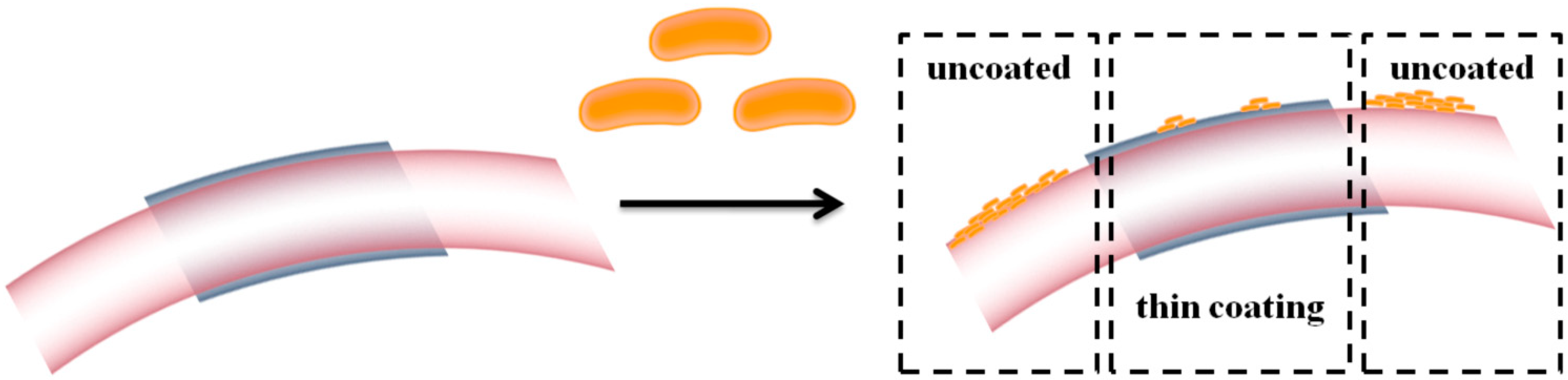 Molecules 19 12011 g012