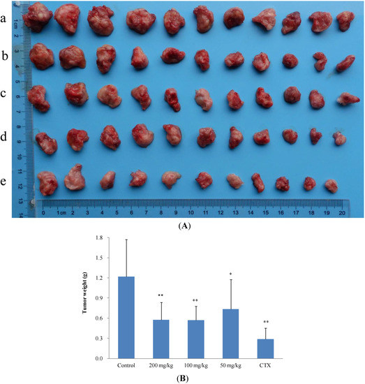 Molecules 19 12099 g003 550