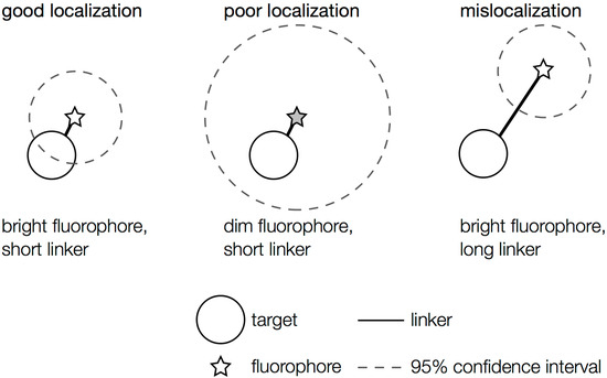 Molecules 19 12116 g003 550