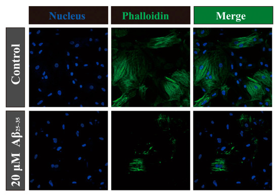 Molecules 19 12242 g004 550