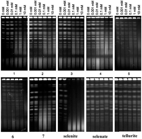 Molecules 19 12258 g007 550