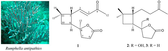 Molecules 19 12320 g003 550