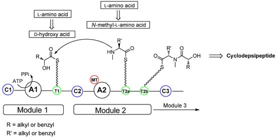 Molecules 19 12368 g001 550