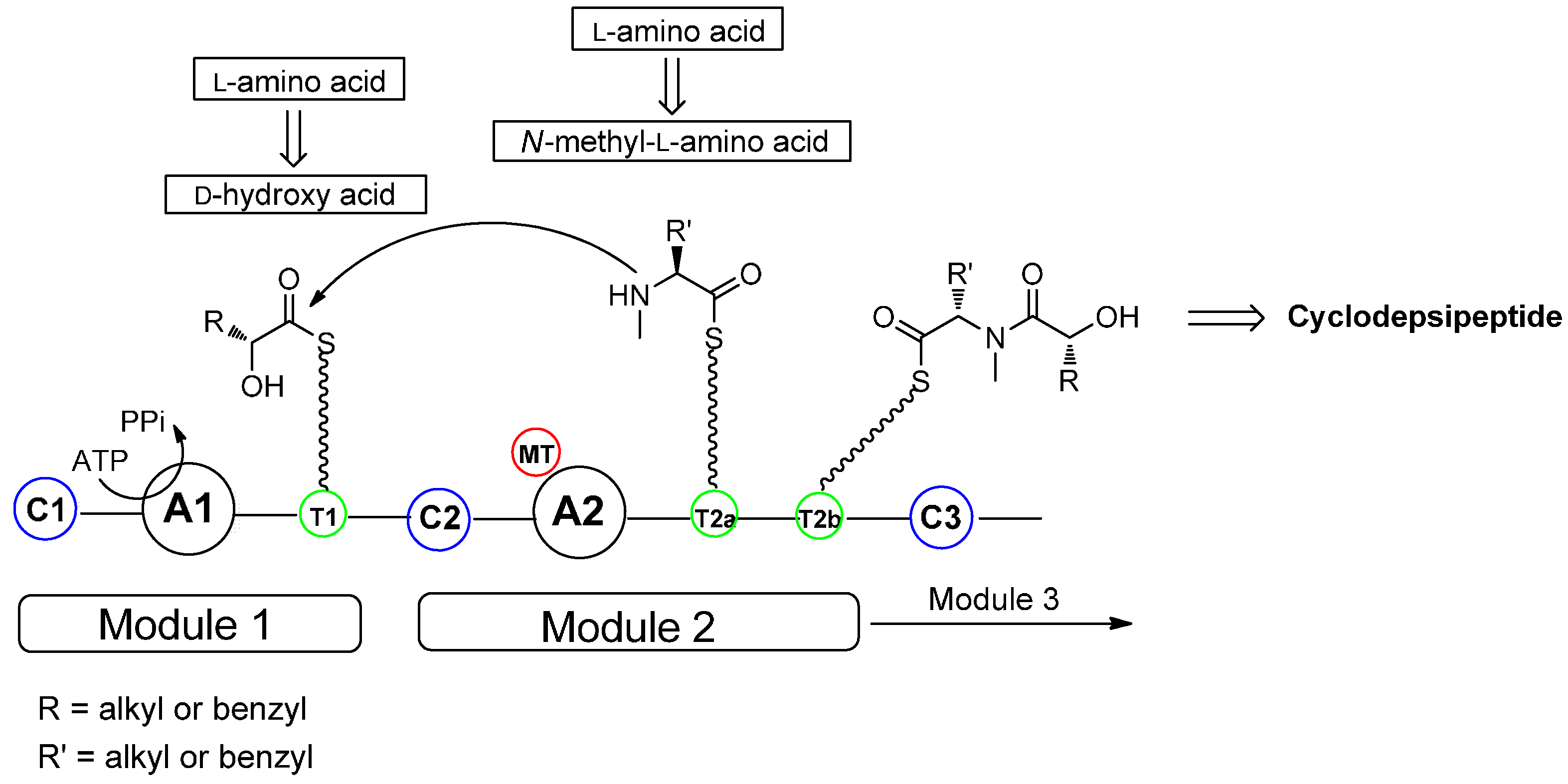 Molecules 19 12368 g001
