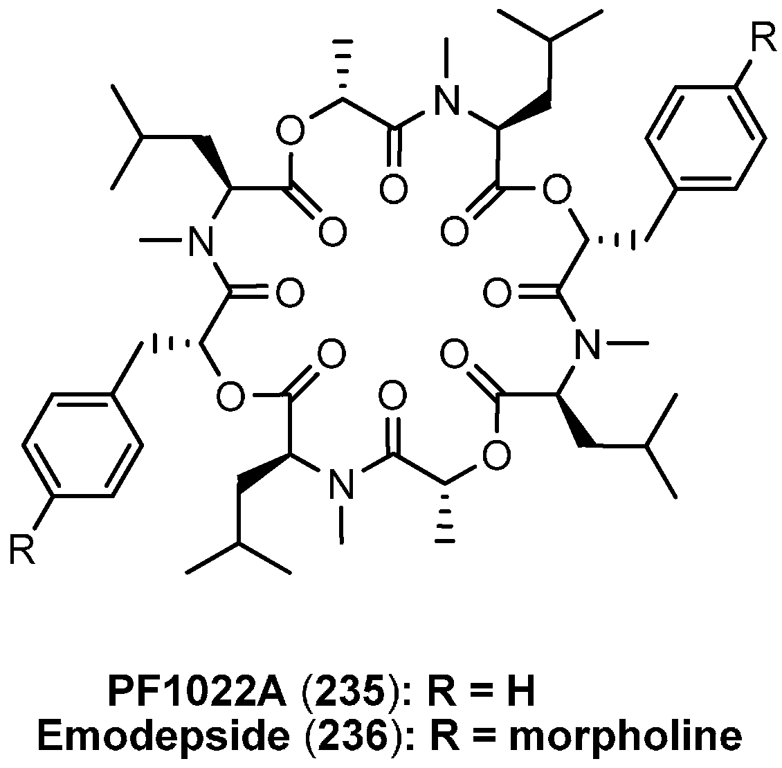 Molecules 19 12368 g026