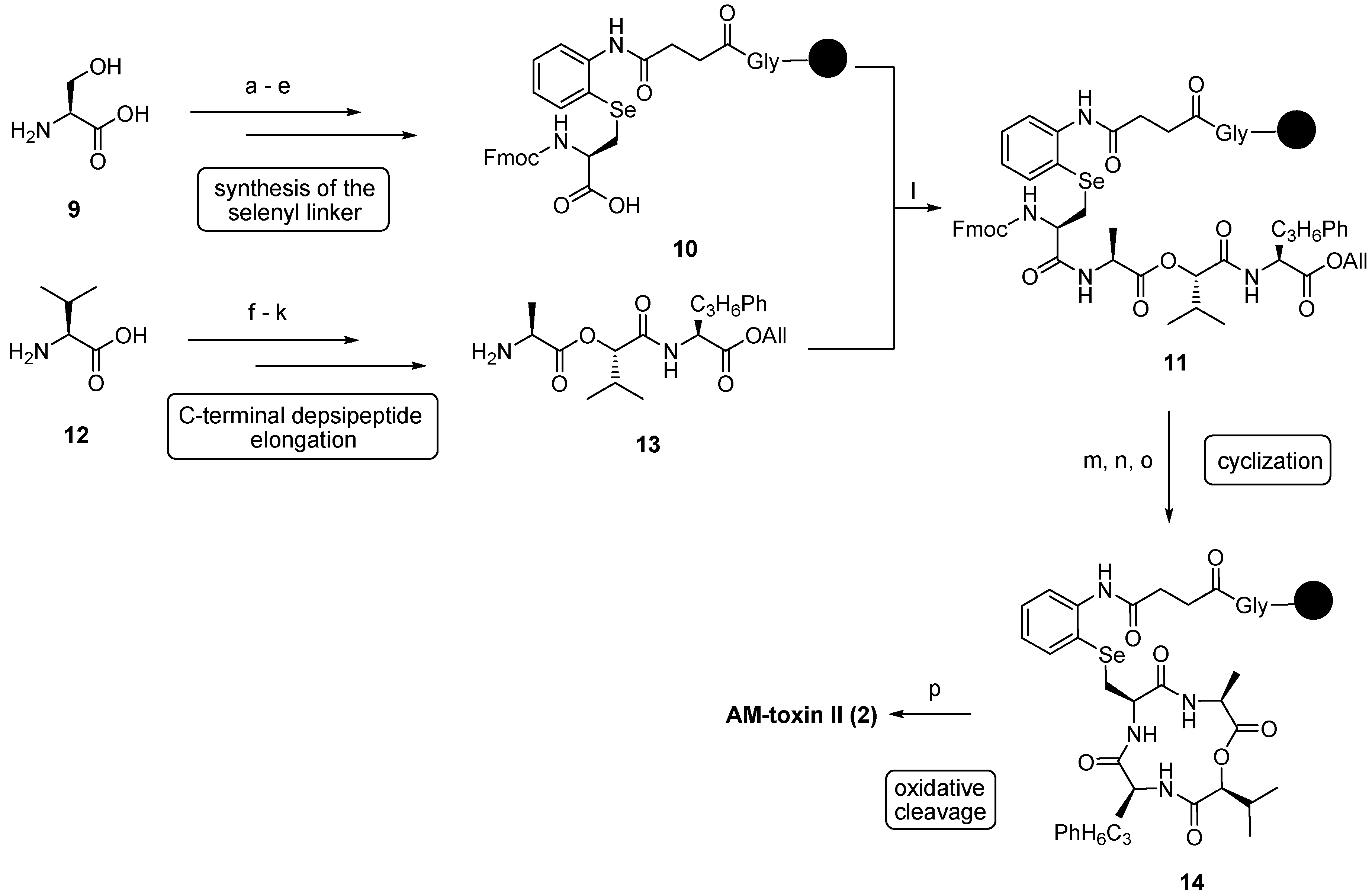 Molecules 19 12368 g036