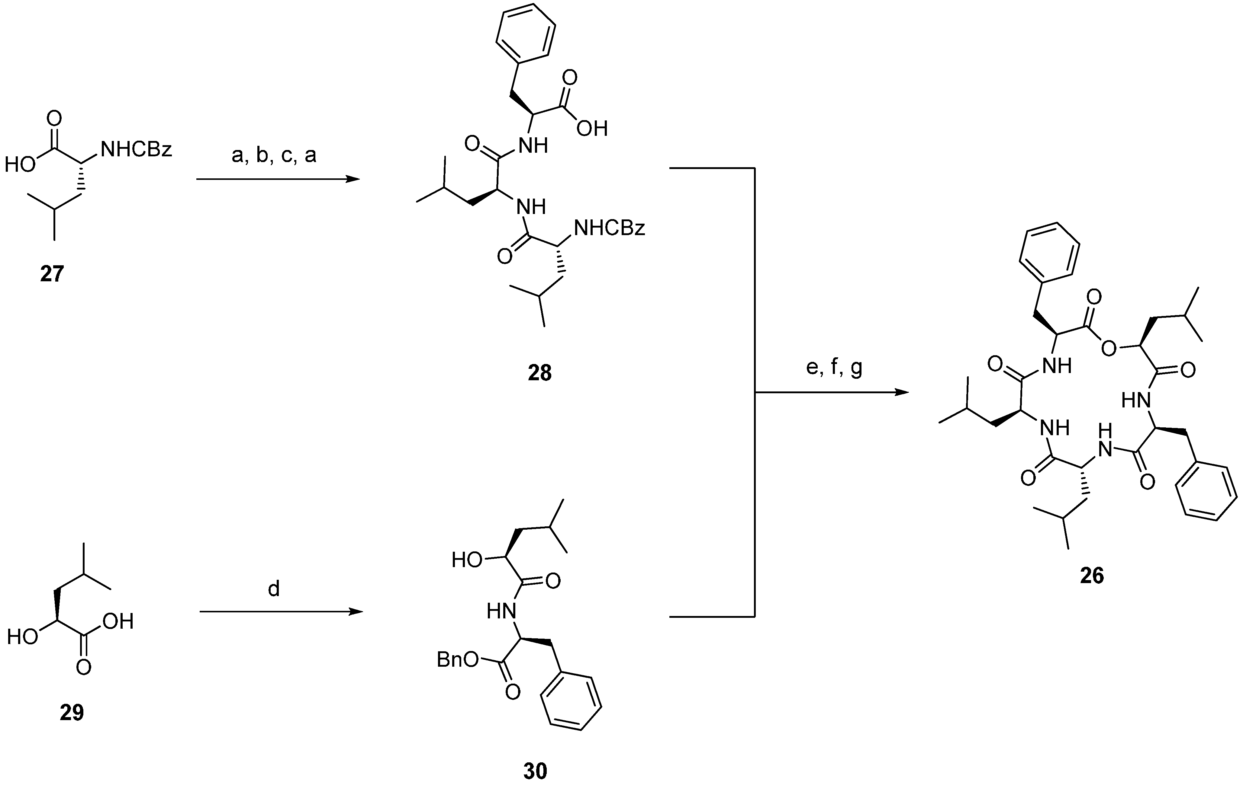 Molecules 19 12368 g038