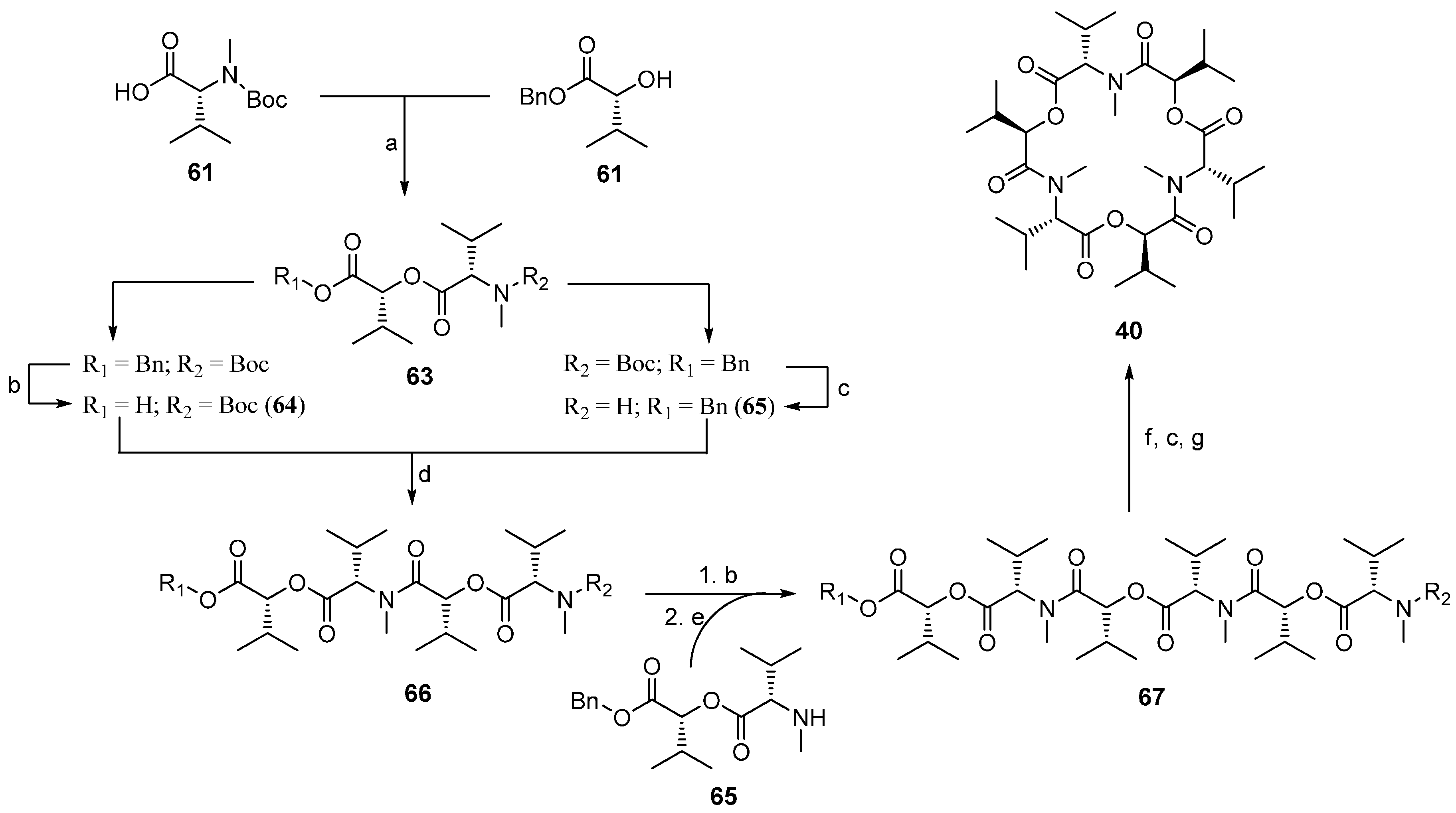 Molecules 19 12368 g039