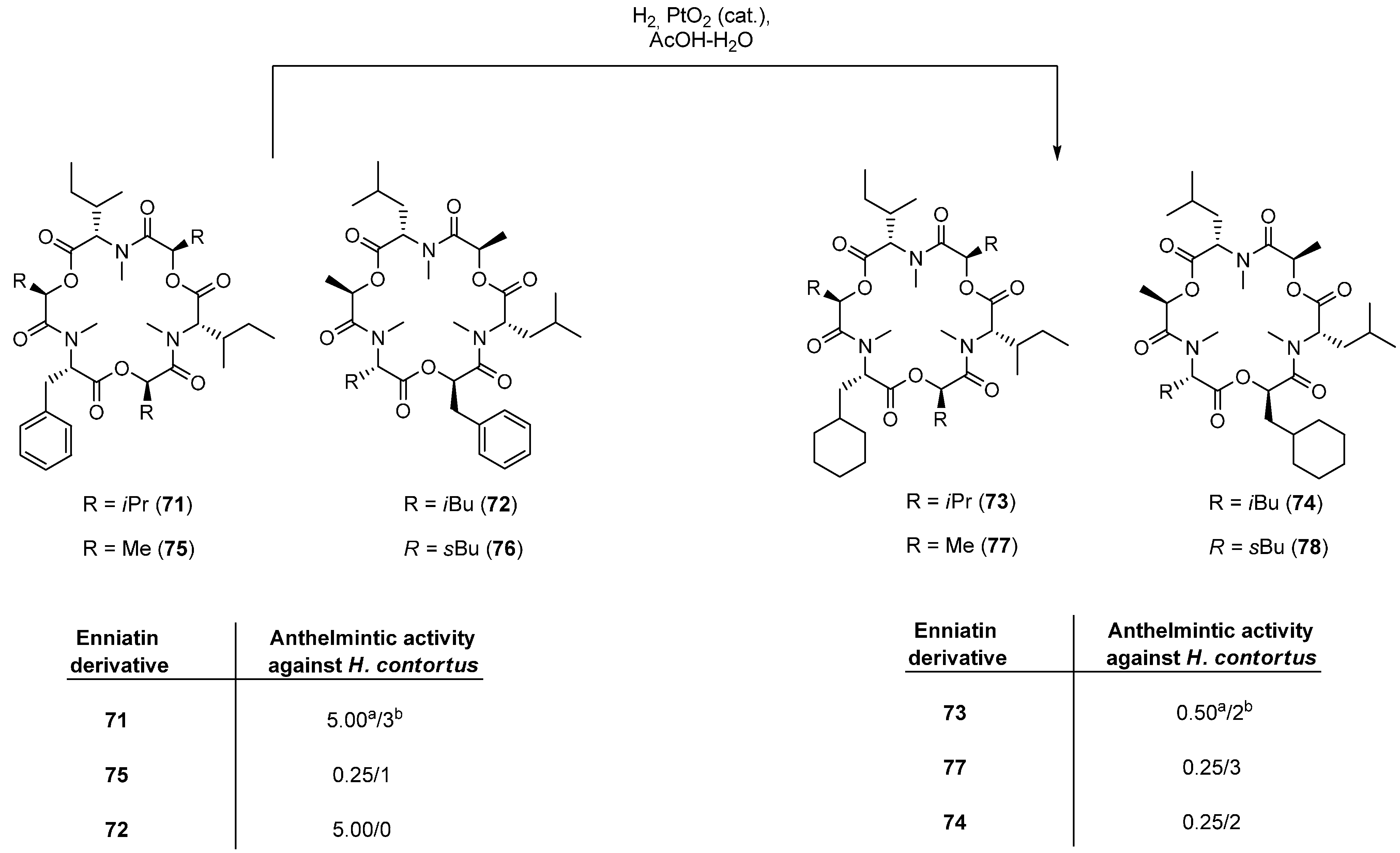 Molecules 19 12368 g041