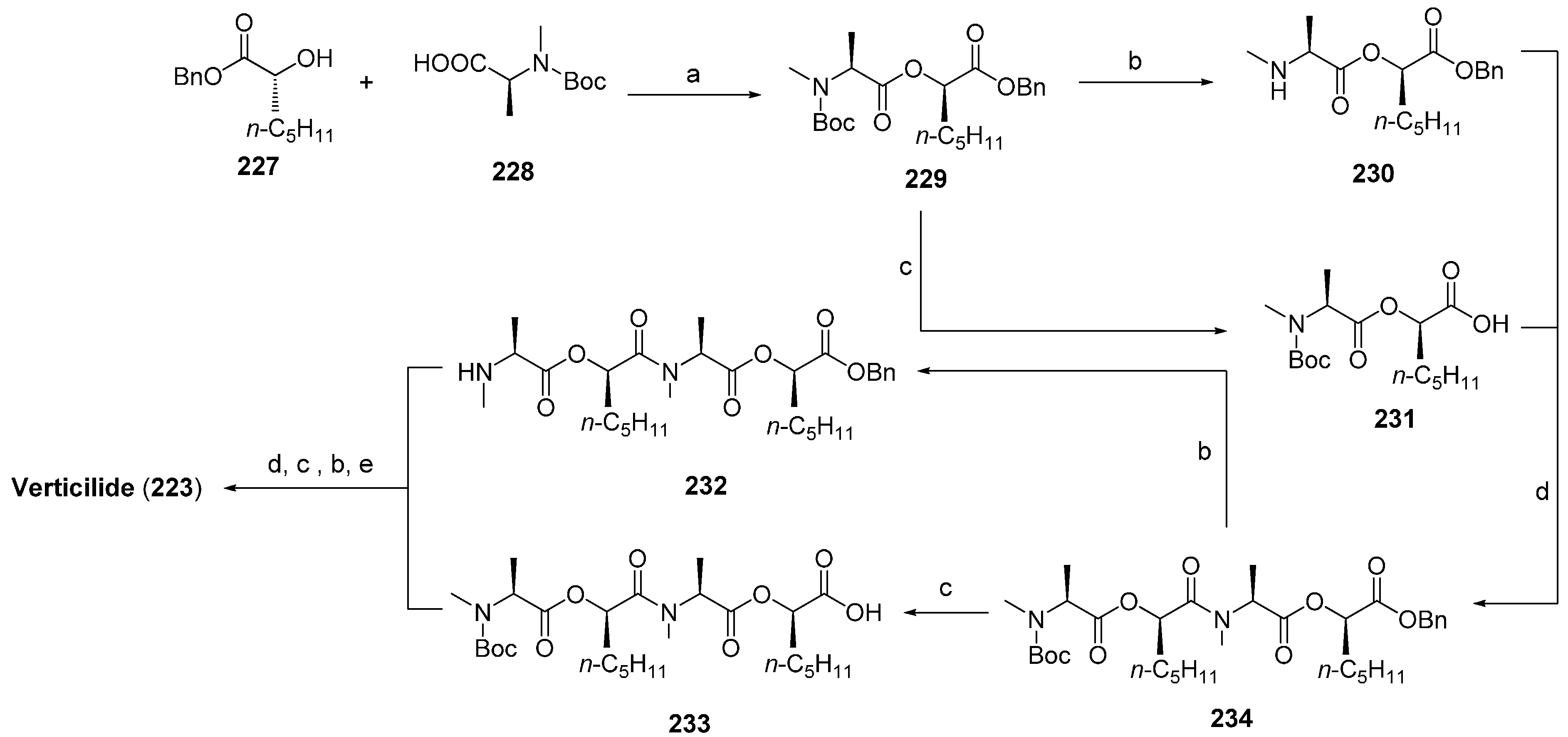 Molecules 19 12368 g047