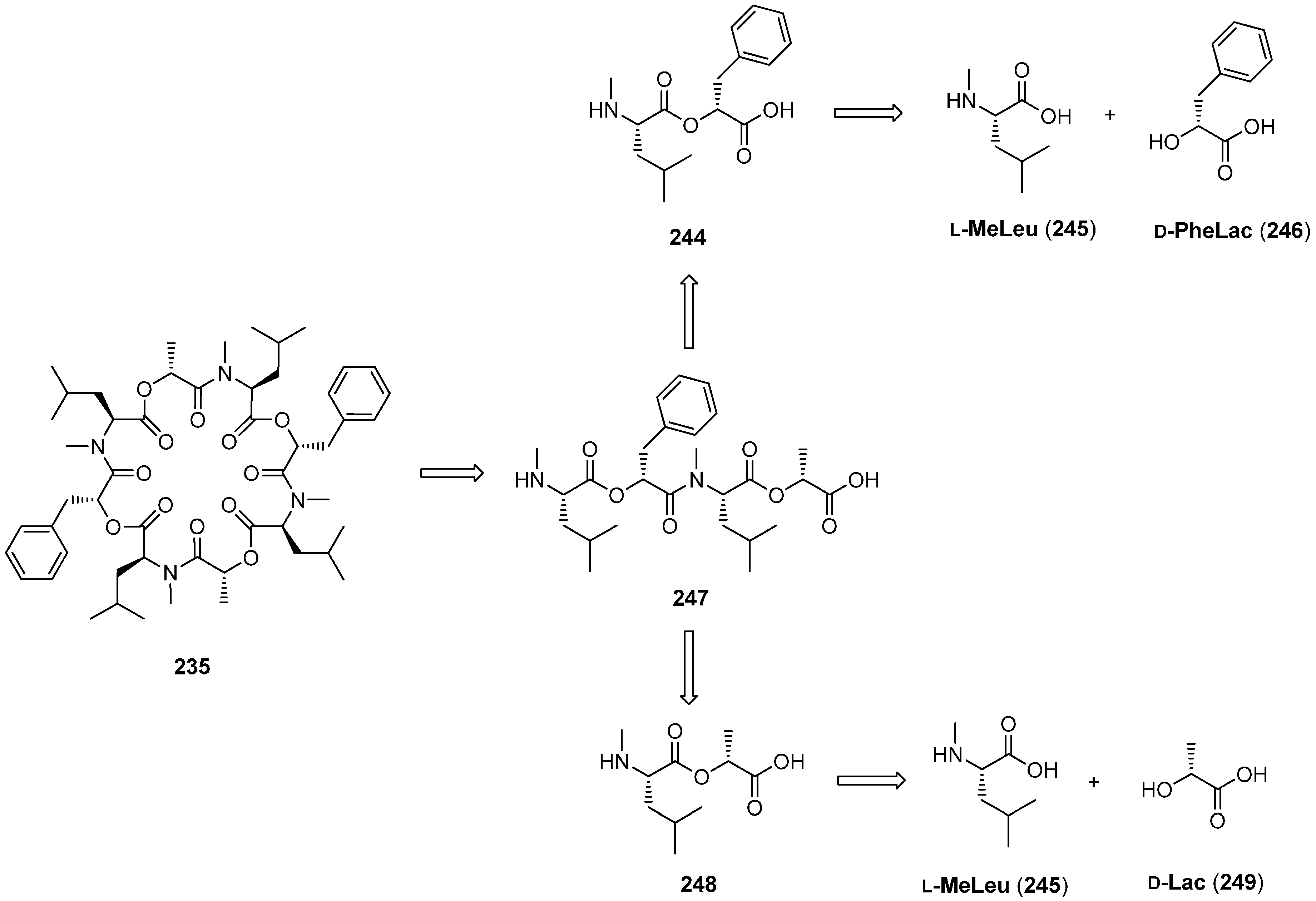 Molecules 19 12368 g048