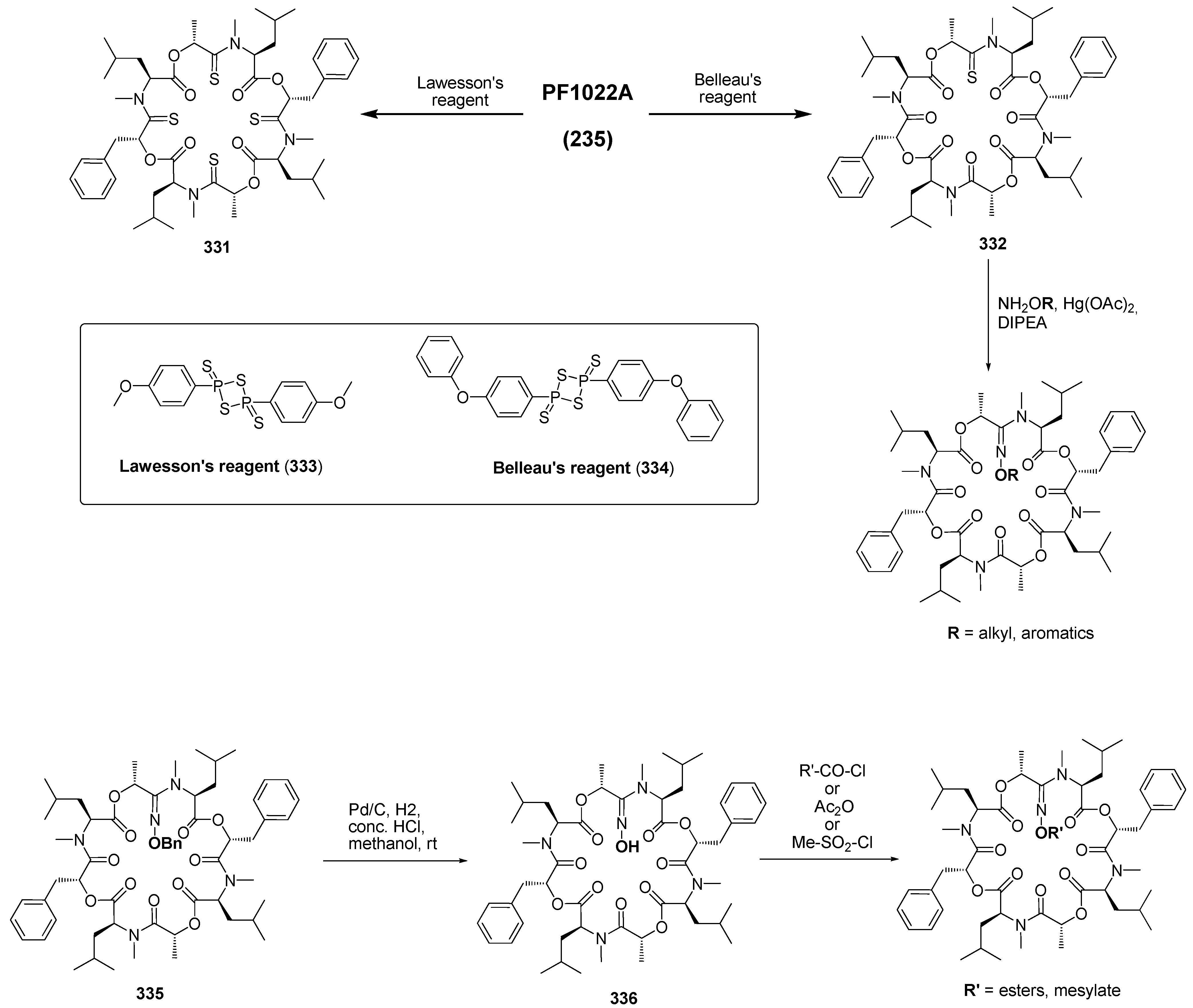 Molecules 19 12368 g054
