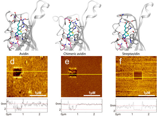 Molecules 19 12531 g001 550