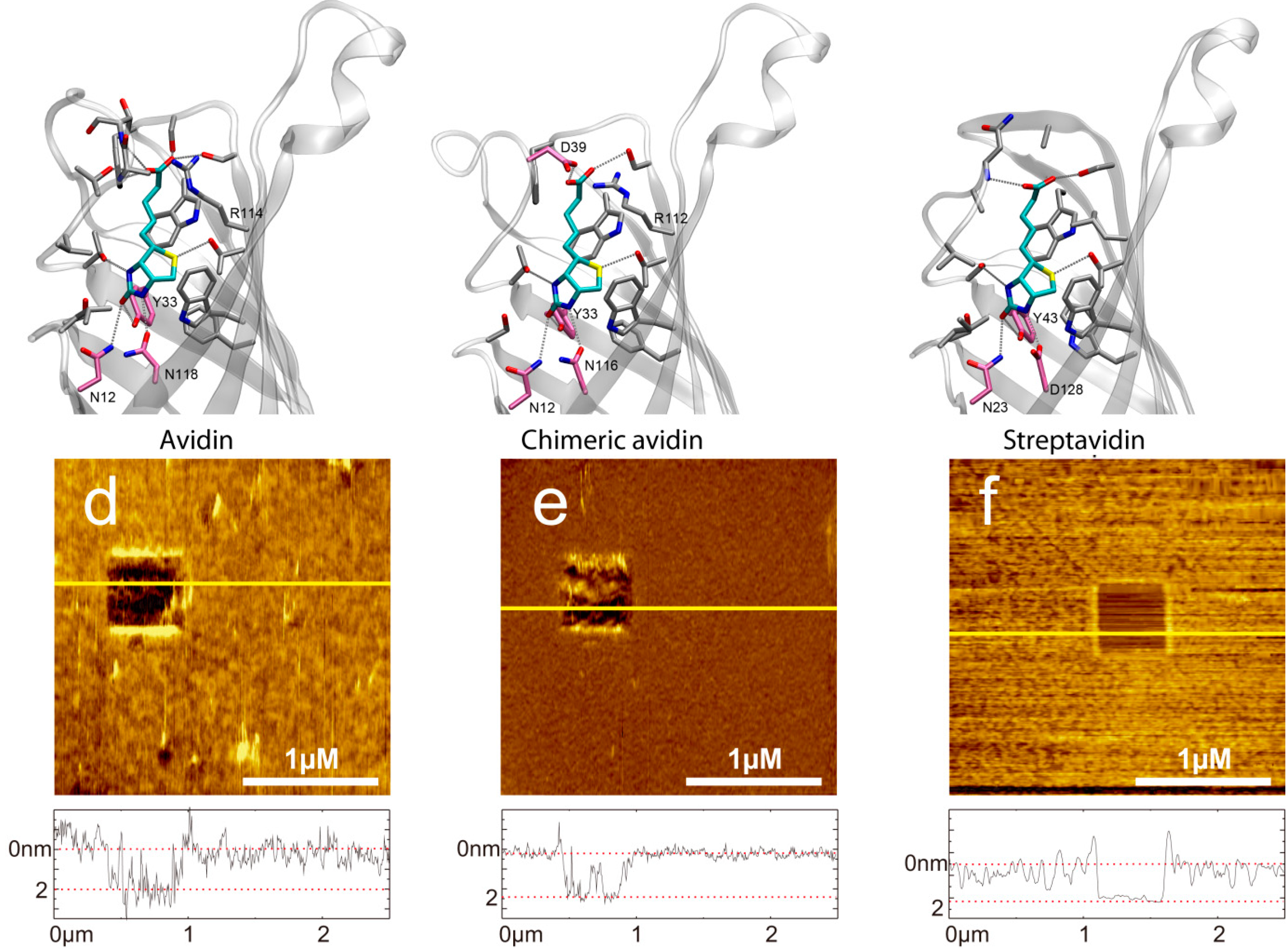 Molecules 19 12531 g001