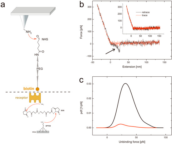 Molecules 19 12531 g002 550