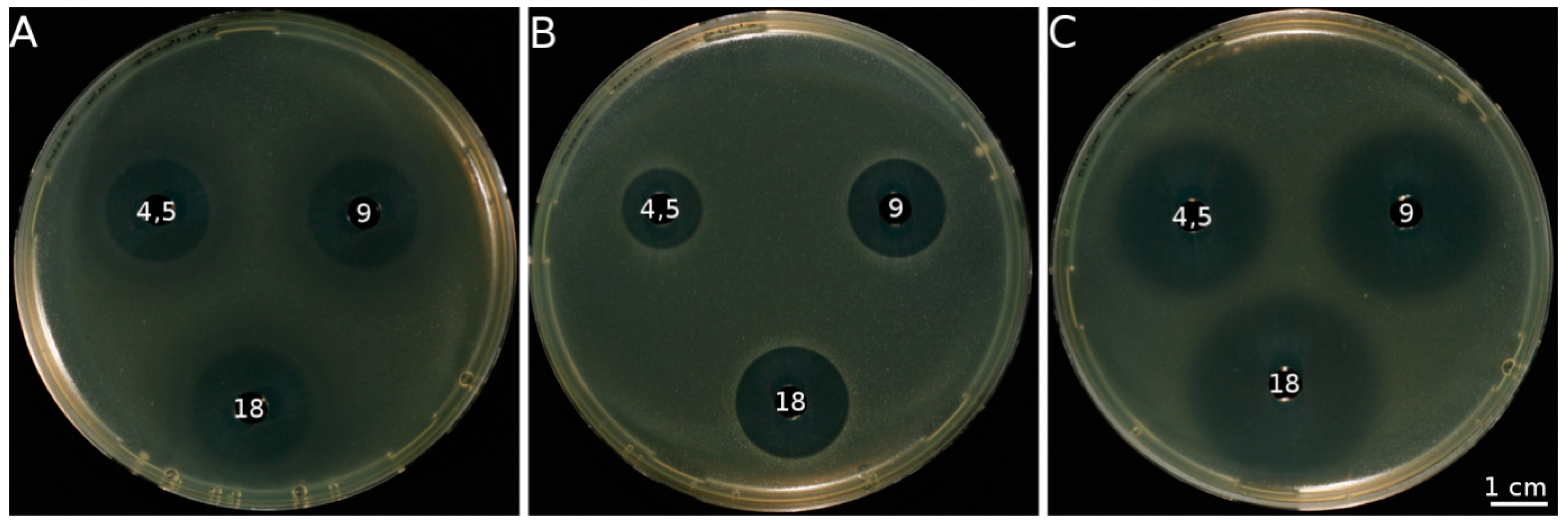 Molecules 19 12591 g001