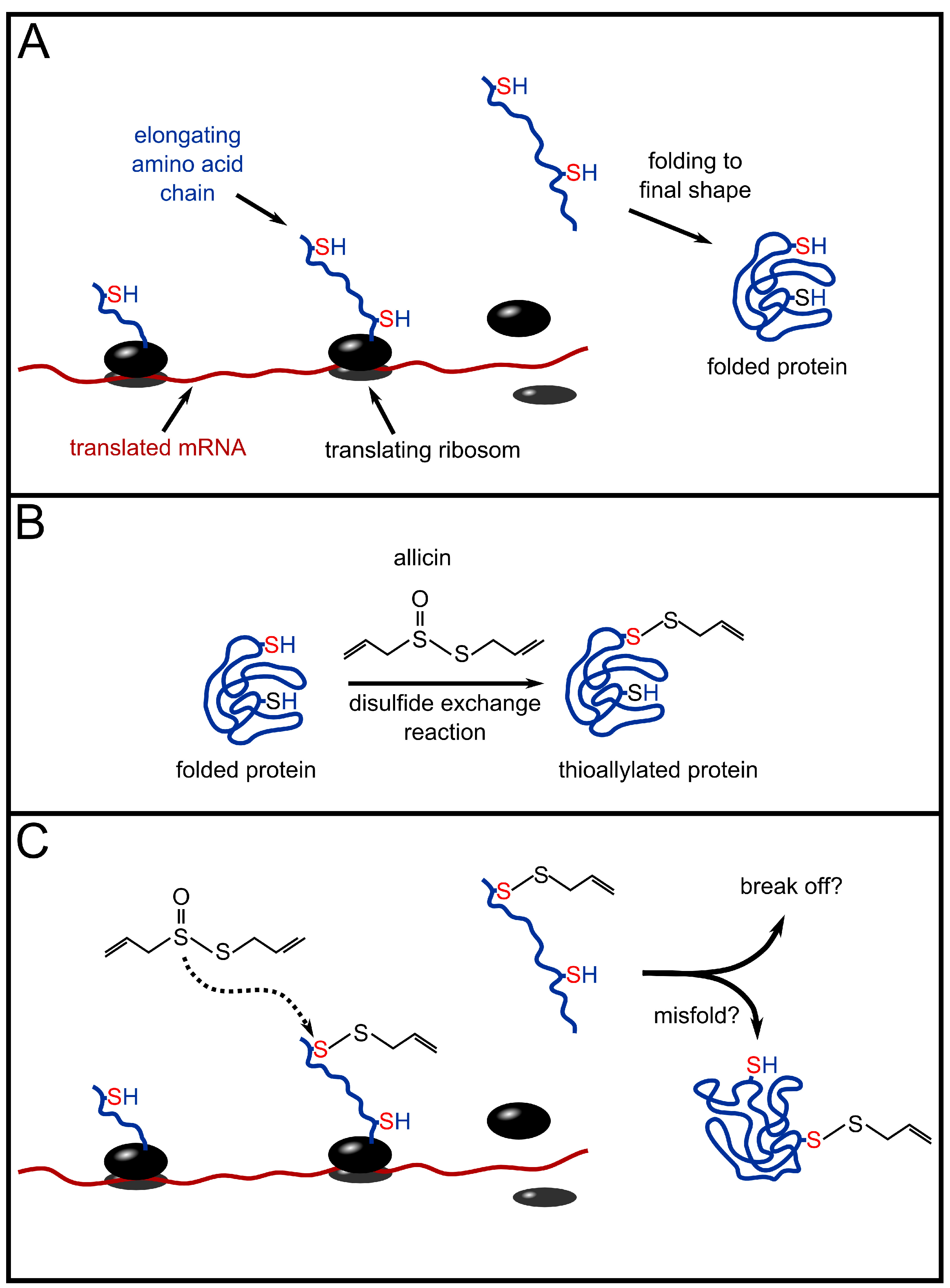 Molecules 19 12591 g002