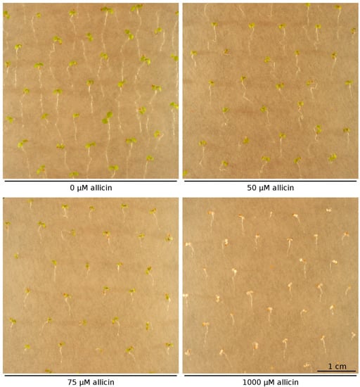 Molecules 19 12591 g003 550